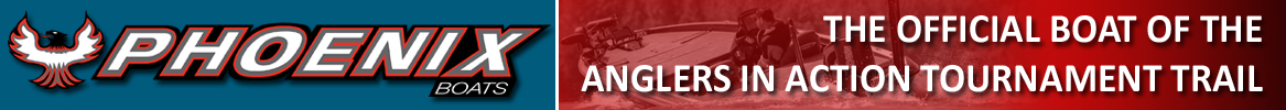aia_phoenixbanner.jpg