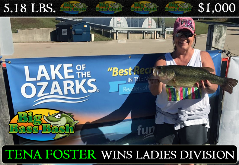 tfoster_2017fallbbbladies.png